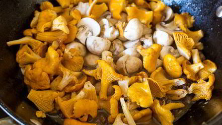 Рецепт грибного рагу с уткой