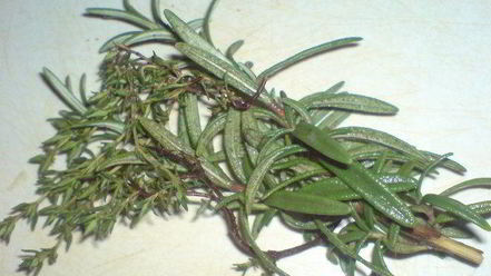 Рецепт летнего рататуя