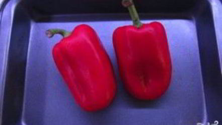 Рецепт рататуя классического в духовке