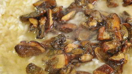 Рецепт ризотто с лесными грибами