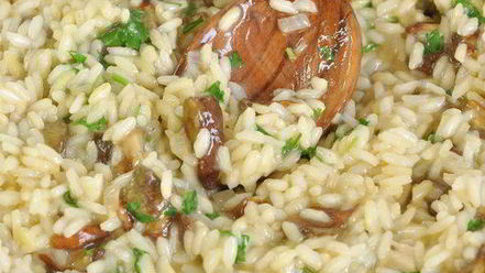 Рецепт ризотто с лесными грибами