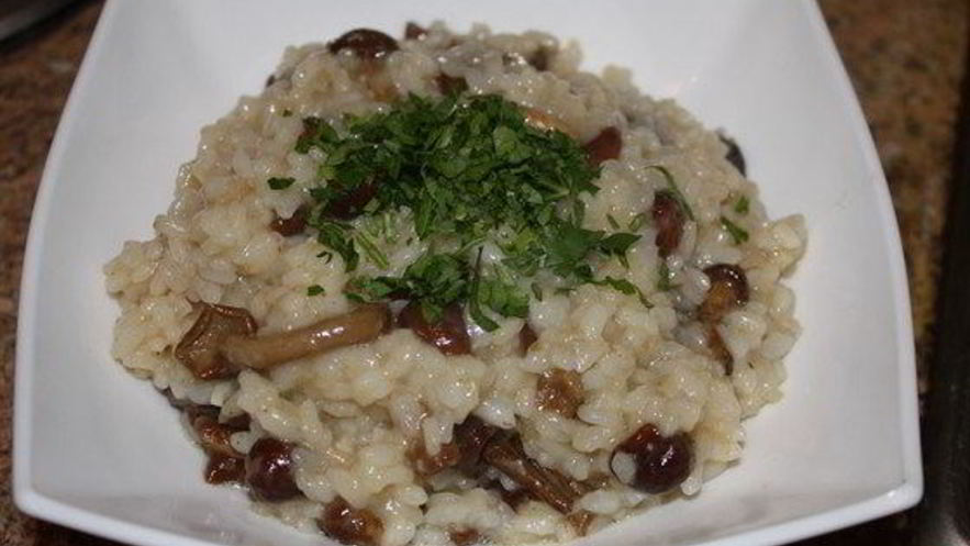 Рецепт традиционного ризотто с опятами
