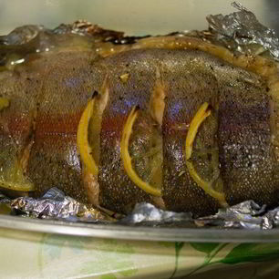Рецепт Белорыбицы, запеченной в фольге в духовке