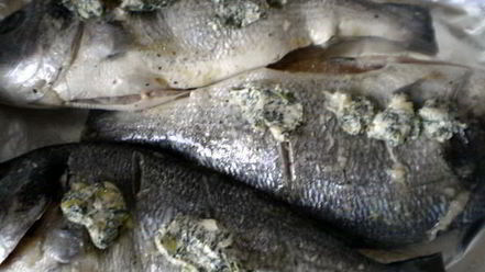 Рецепт дорады, запеченной в лимонно-чесночном масле