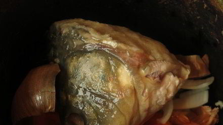 Рецепт фаршированного морковью карп