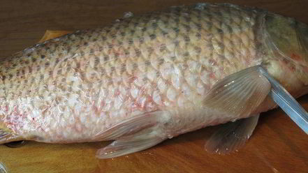 Рецепт фаршированного морковью карп