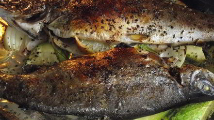 Рецепт форели с пряными травами и лимоном