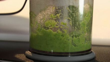 Рецепт форели в кукурузных хлопьях с медом и орехами