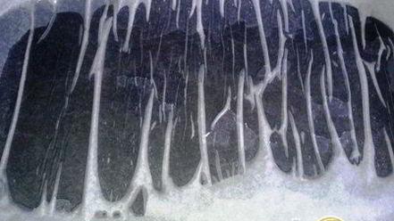 Рецепт лосося в кунжутной панировке