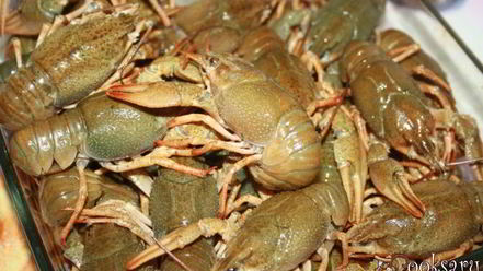 Рецепт раков в молоке