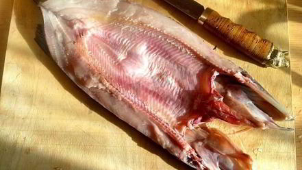 Рецепт щуки запеченной в духовке со сметаной и овощами