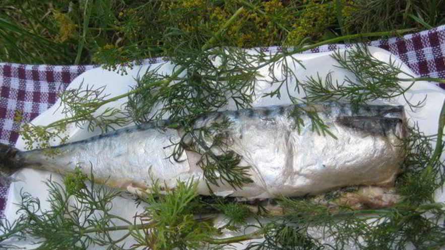 Рецепт скумбрии-гриля с маслом и укропом