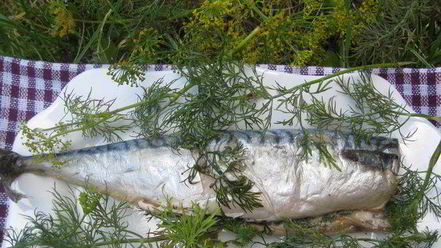 Рецепт скумбрии-гриля с маслом и укропом