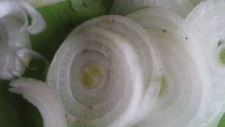 Рецепт быстрого маринования шашлыка