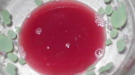 Рецепт хазани хороваца — шашлыка в кастрюле