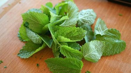 Рецепт шашлыка из говядины с салом