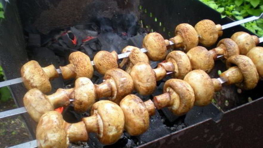 Рецепт шашлыка из шампиньонов