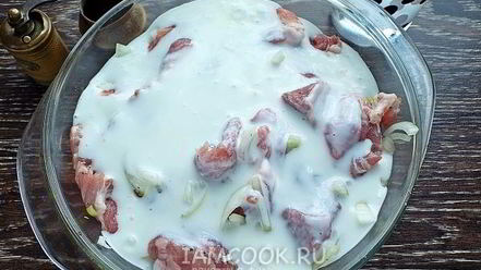 Рецепт шашлыка из свинины в кефире