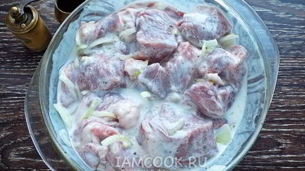 Рецепт шашлыка из свинины в кефире
