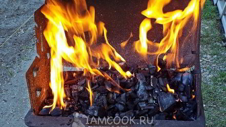 Рецепт шашлыка из свинины в кефире