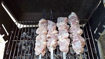 Рецепт шашлыка из свинины в кефире