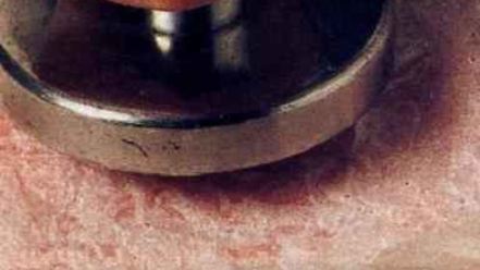 Рецепт шницели аллы миланезе фаршированные