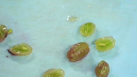 Рецепт стейка из фуа-гра