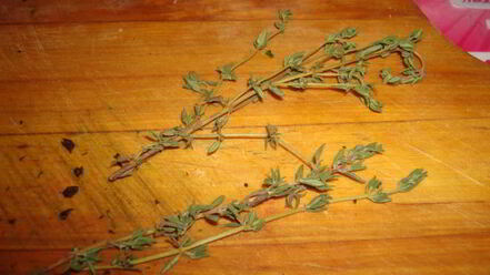 Рецепт итальянских тефтелей в томатном соусе