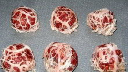 Рецепт тефтелек в свиной жировой сетке