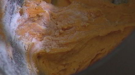 Рецепт тыквенных ньокков