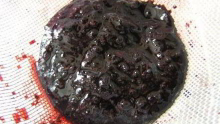 Рецепт вареников с черникой и соусом под шафе