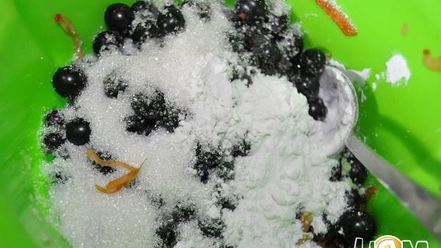 Рецепт вареников с черной смородиной и яблоками