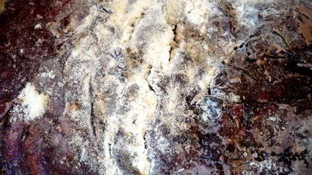 Рецепт квашеного жаркого с клецками и глазированной капустой мясо моей мечты