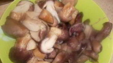 Рецепт жаркого из грибов с картошкой