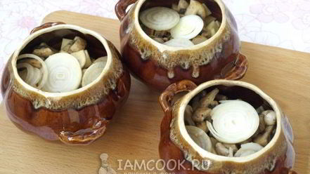 Рецепт жаркого из свинины в горшочках