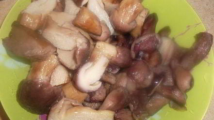 Рецепт жаркого с грибами по-домашнему