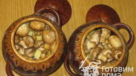 Рецепт жаркого с грибами в горшочках