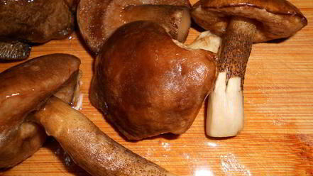 Рецепт жаркого с грибами в мультиварке