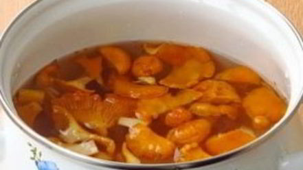 Рецепт жаркого с грибами