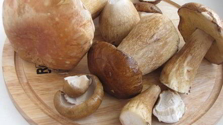 Рецепт жаркого в горшочках с белыми грибами и свининой