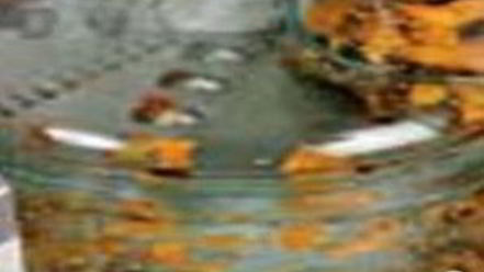 Рецепт куриных зраз с сухофруктами под апельсиновым соусом