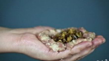 Рецепт зраз мясных с грибами