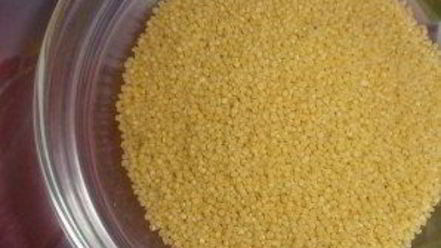 Рецепт каши из тыквы с пшеном на молоке