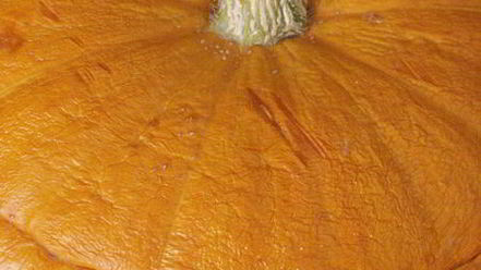 Рецепт каши в тыкве