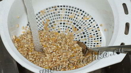 Рецепт перловки с тушенкой в мультиварке steba