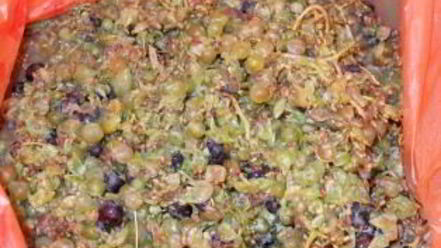 Рецепт белого вина полусладкого