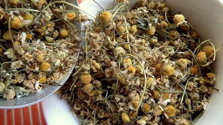 Рецепт бруснично-ромашкового чай с мятой