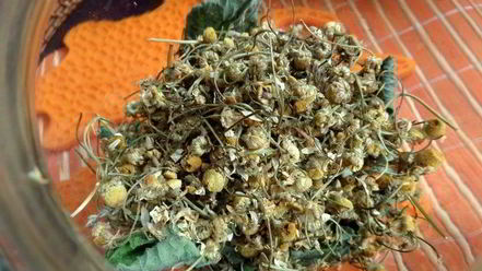 Рецепт бруснично-ромашкового чай с мятой