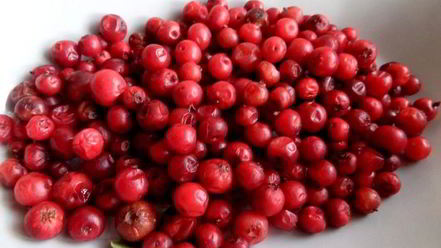 Рецепт бруснично-ромашкового чай с мятой