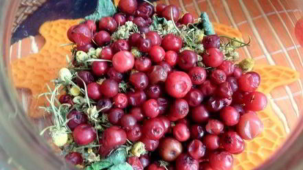 Рецепт бруснично-ромашкового чай с мятой